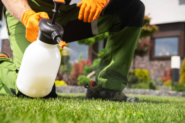 Best Pest Removal Services  in Terre Du Lac, MO