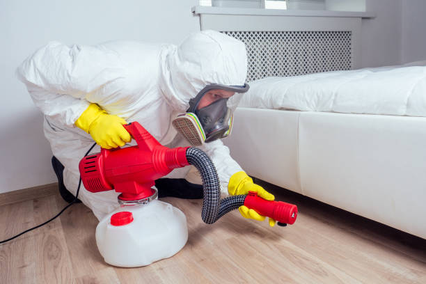 Best Pest Prevention Services  in Terre Du Lac, MO
