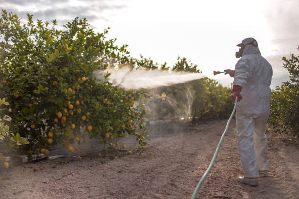 Best Pest Control Near Me  in Terre Du Lac, MO