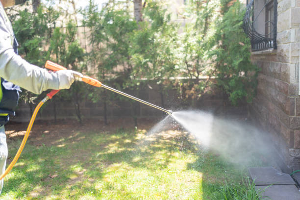 Professional Pest Control in Terre Du Lac, MO